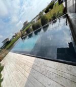 Negro Napoles - Imagen 2